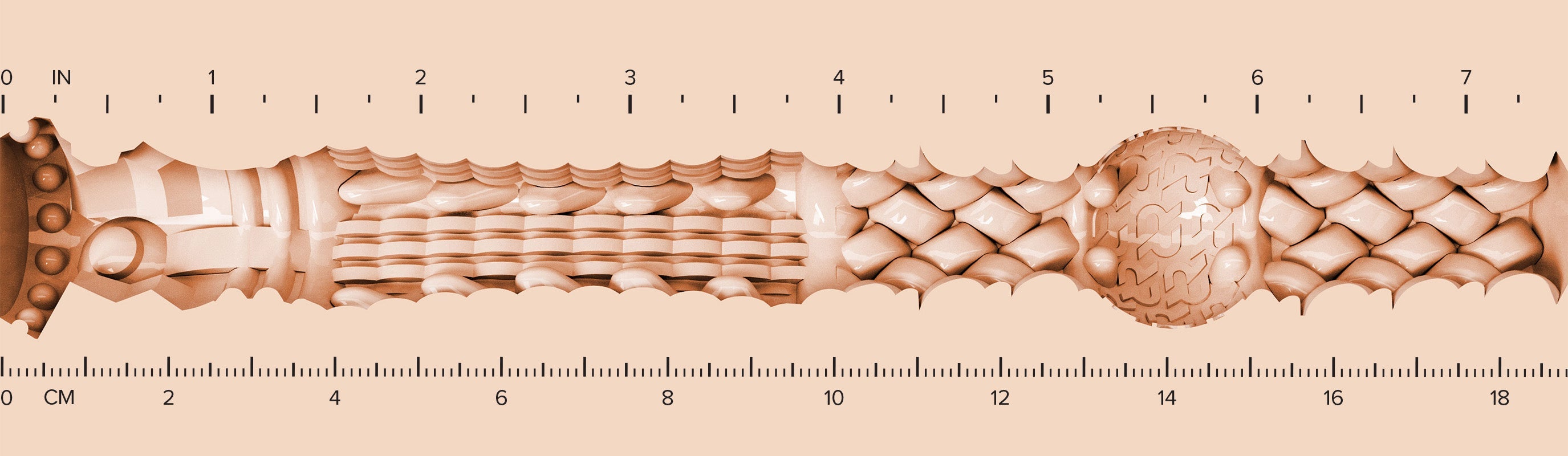 Lady_Texture-Ruler-RR-Savannah.jpg